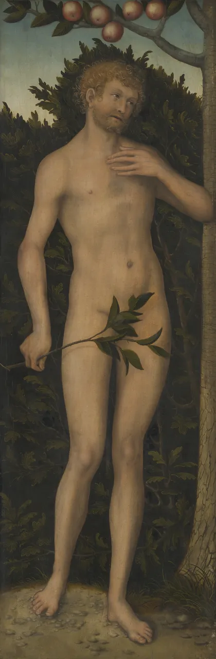 Adam by Lucas Cranach the Elder